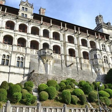 Appartement Coeur De Blois /Heart Of The City エクステリア 写真
