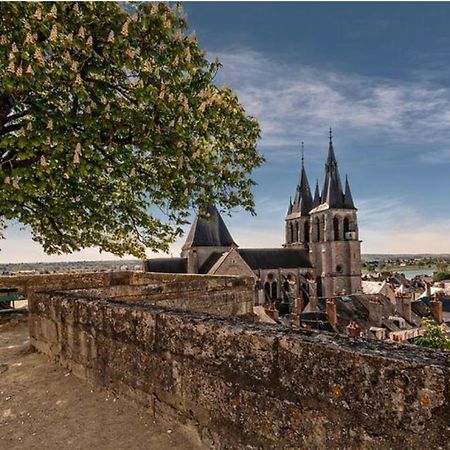 Appartement Coeur De Blois /Heart Of The City エクステリア 写真