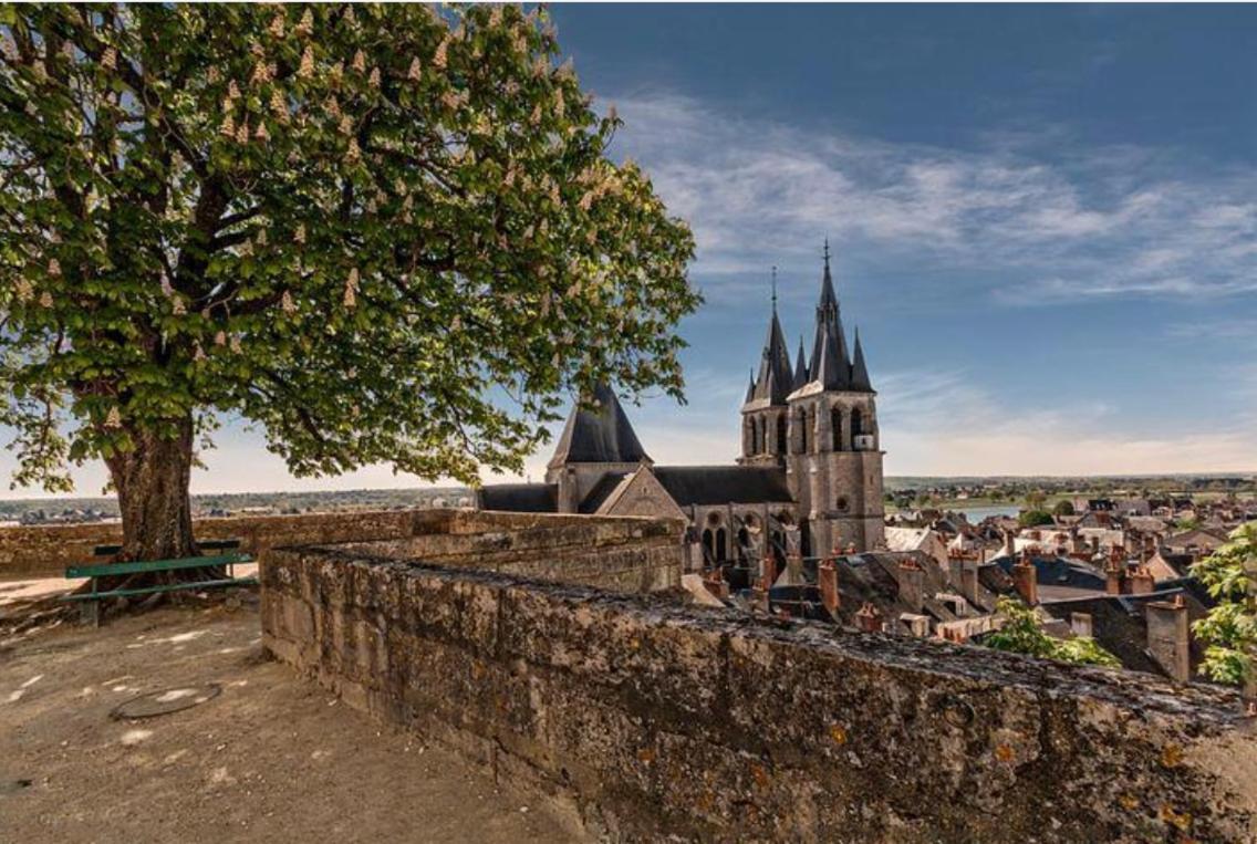 Appartement Coeur De Blois /Heart Of The City エクステリア 写真